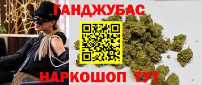 индика Ставрополь