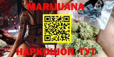 индика Ставрополь