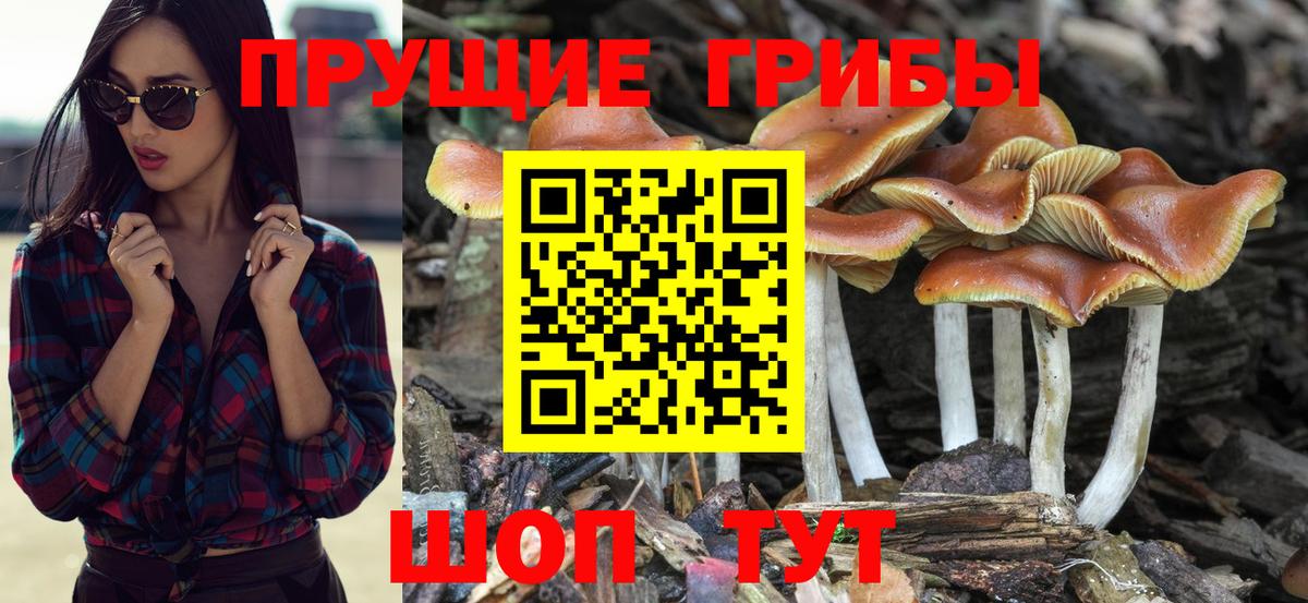 Галлюциногенные грибы ЛСД Нововоронеж
